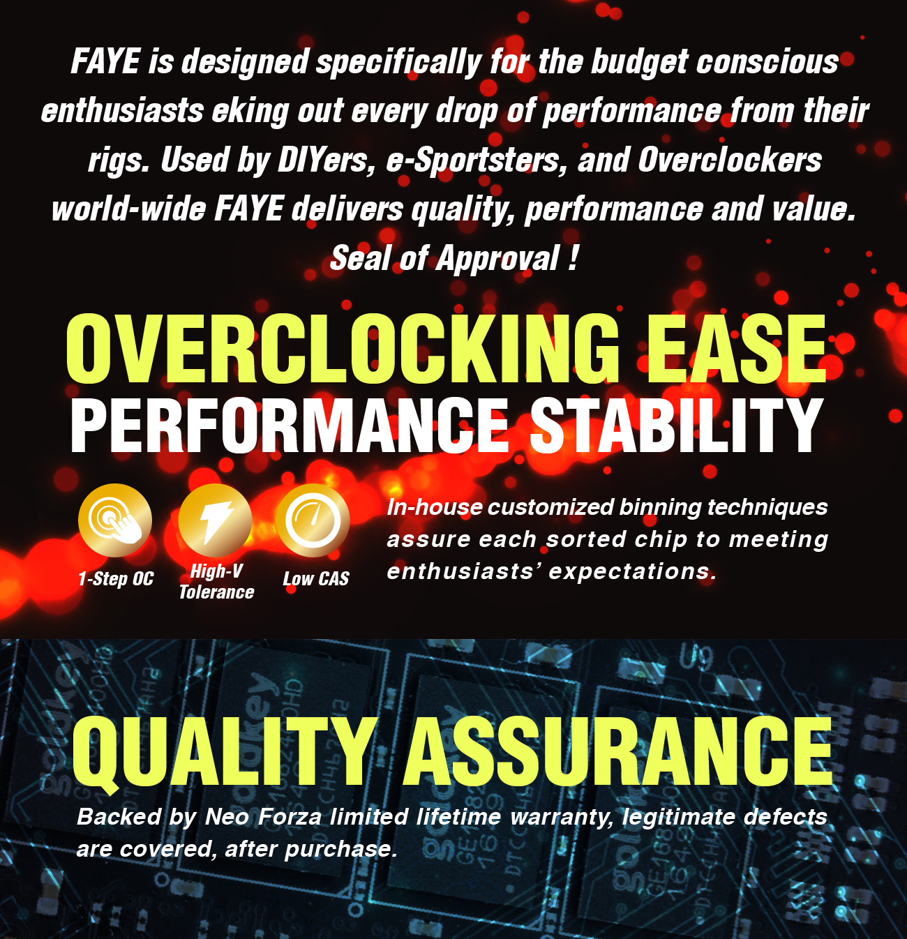 Neo Forza FAYE Desktop Memory